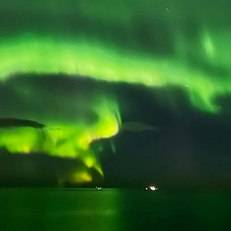 Northern Lights: 2-Hr Boat Tour + Alternative Bus Tour