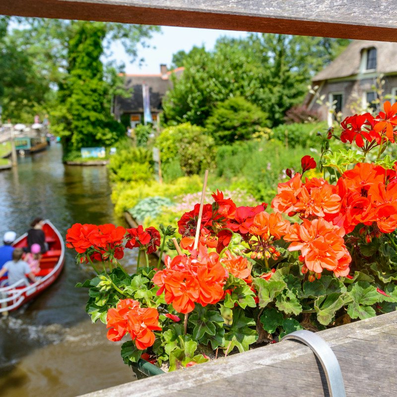 Giethoorn: Day Trip with Canal Tour from Amsterdam