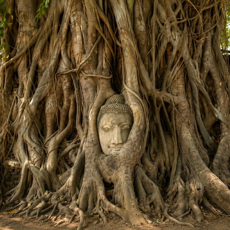 Ayutthaya: Small Group Guided Temples Tour from Bangkok + Lunch