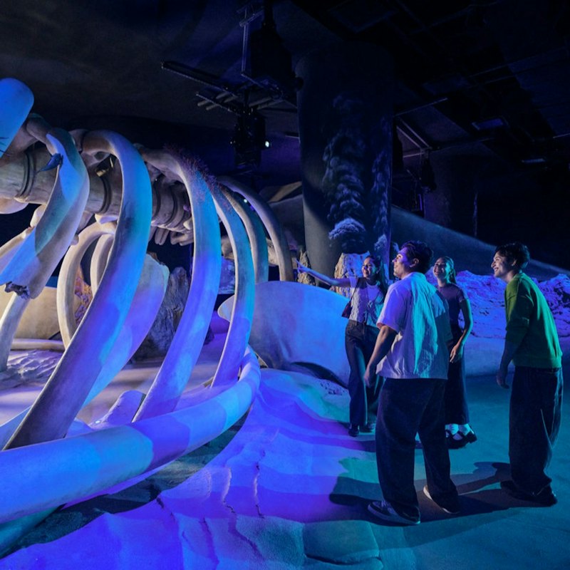 Singapore Oceanarium: Entry Ticket