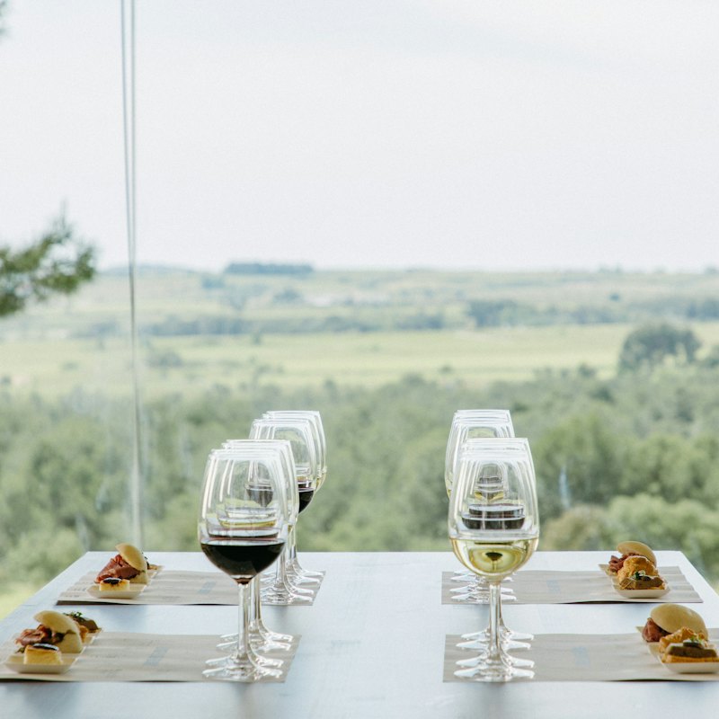 Jean Leon Winery: Guided Tour + Wine & Tapas Pairing