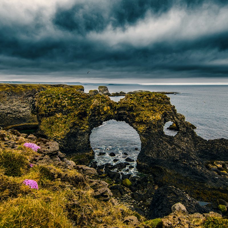 Snæfellsnes: Black Beach Day Trip + Dinner