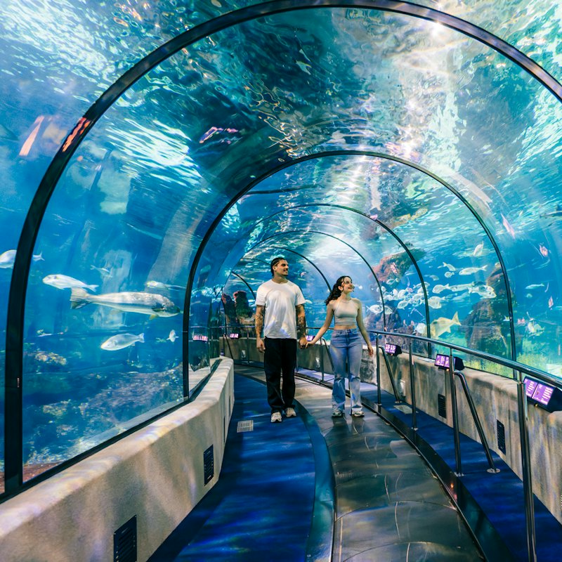 Barcelona Aquarium: Entry Ticket