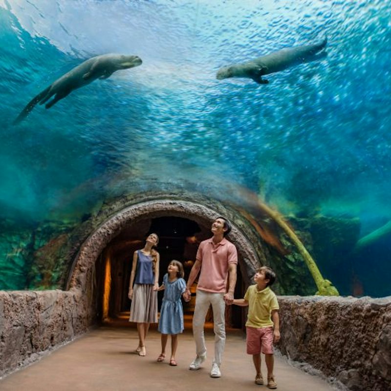 Singapore River Wonders: Entry Ticket