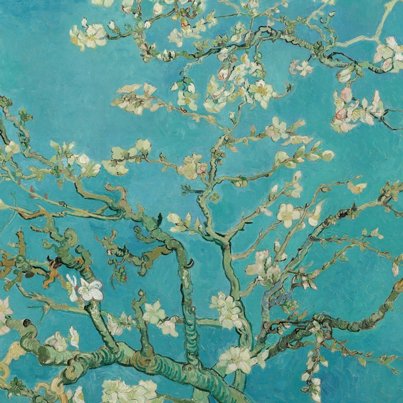 Van Gogh Museum: Guided Tour
