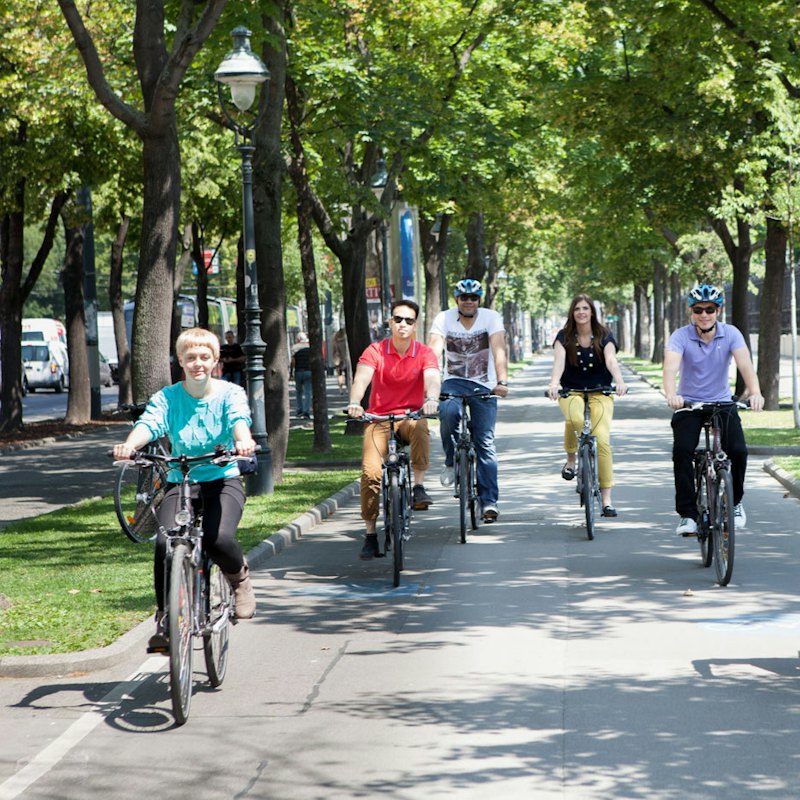 Vienna: Classic Bike Tour