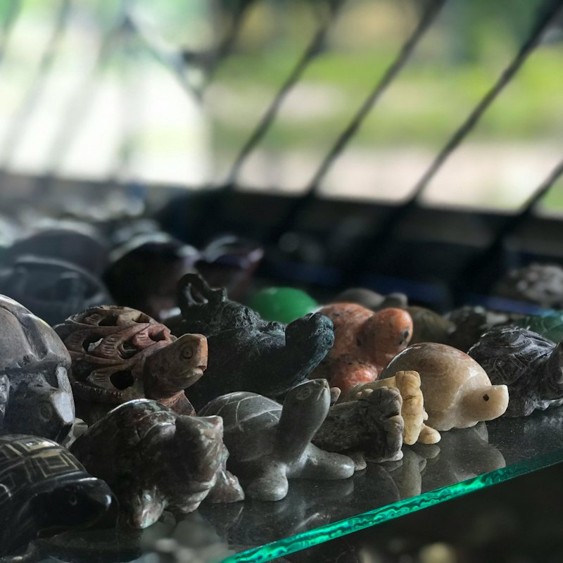 Live Turtle Museum Singapore: Standard Ticket