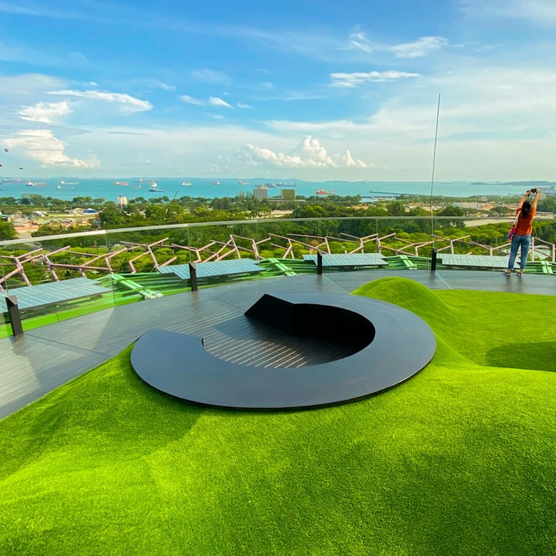 Gardens by the Bay: Supertree Observatory Entry