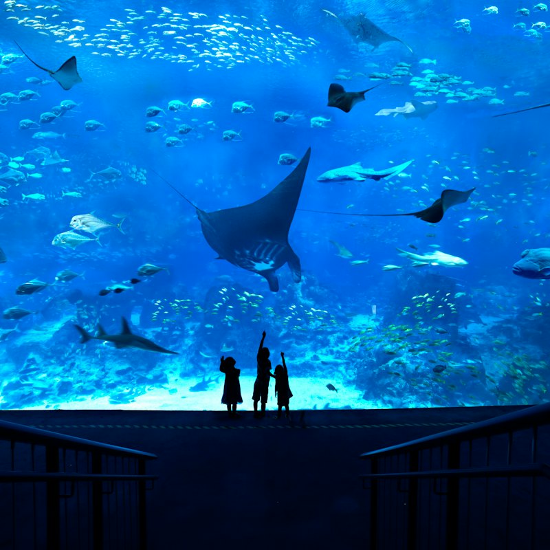 Sentosa Fun Pass: Save up to 55% on Attractions and More