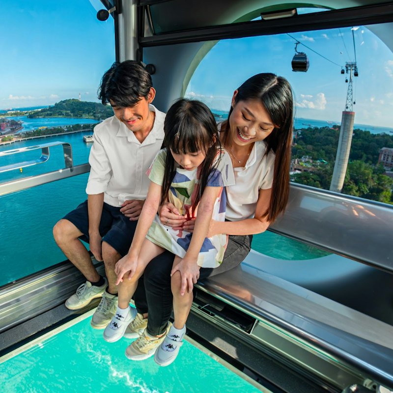 Singapore Cable Car: SkyPass Premium