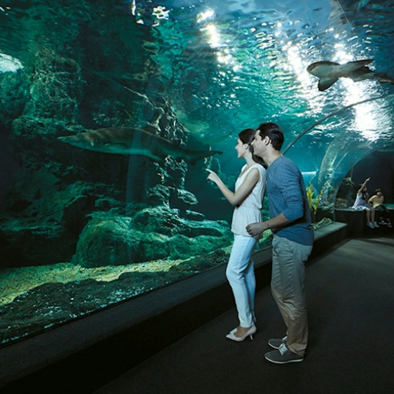 SEA LIFE Bangkok Ocean World & Madame Tussauds