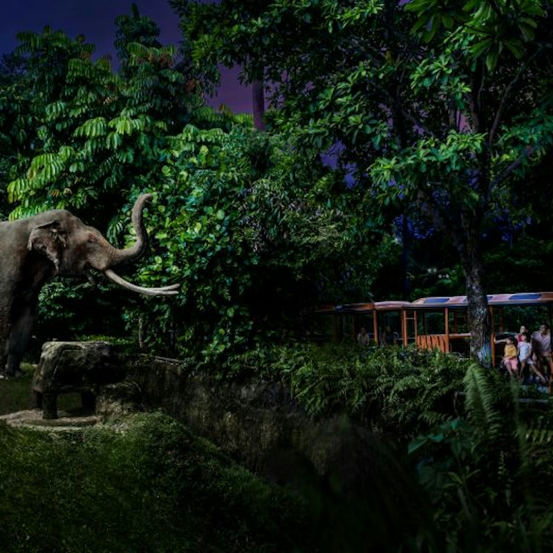 Singapore Night Safari with Tram Ride