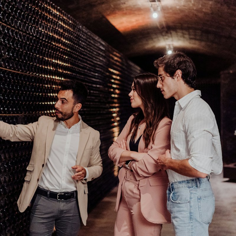 Cavas Freixenet: Guided Winery Tour + Tastings