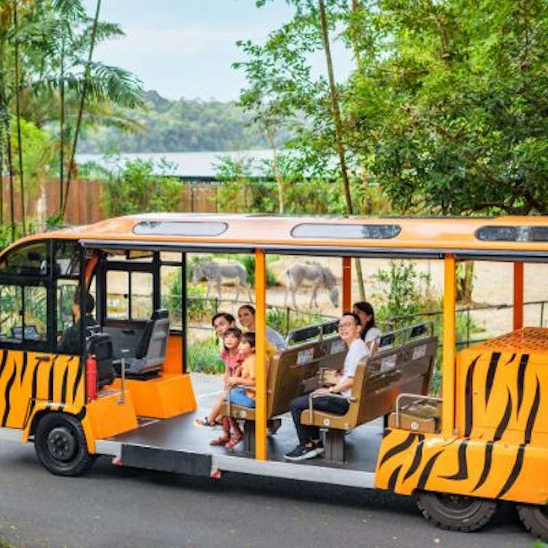 Singapore Zoo: Entry Ticket