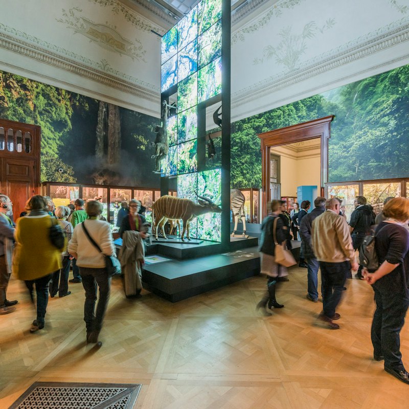 AfricaMuseum Brussels: Entry Ticket