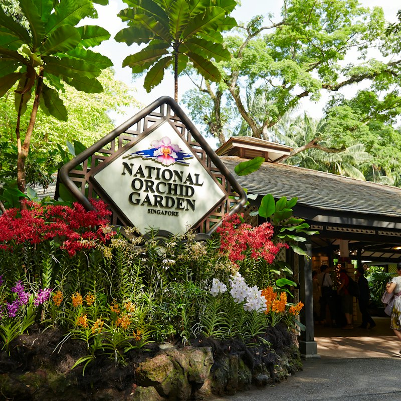 Singapore National Orchid Garden Tickets