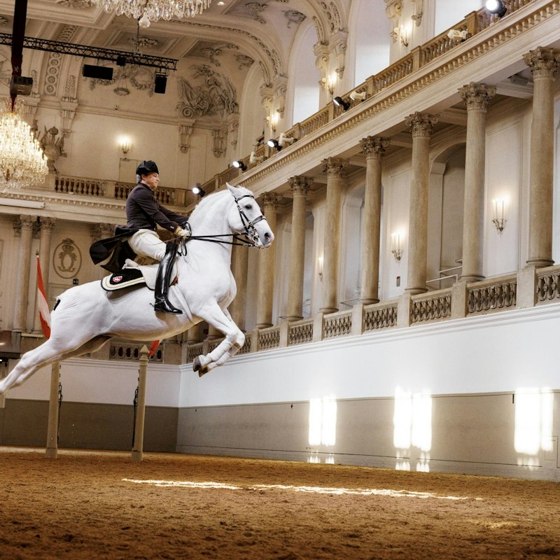 Lipizzaner Performance at the Spanish Riding School