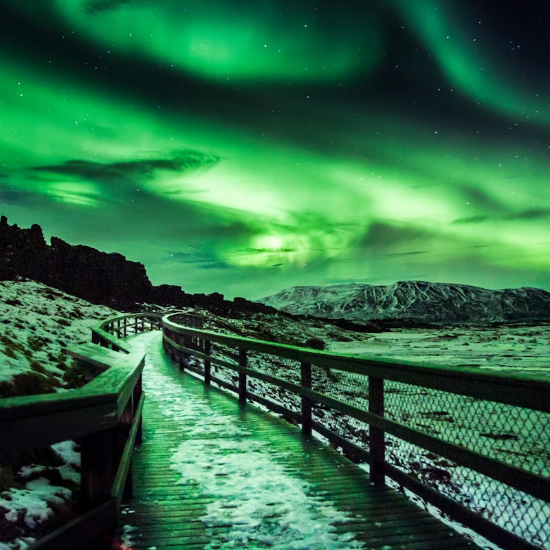 Reykjavík: Northern Lights Bus Tour