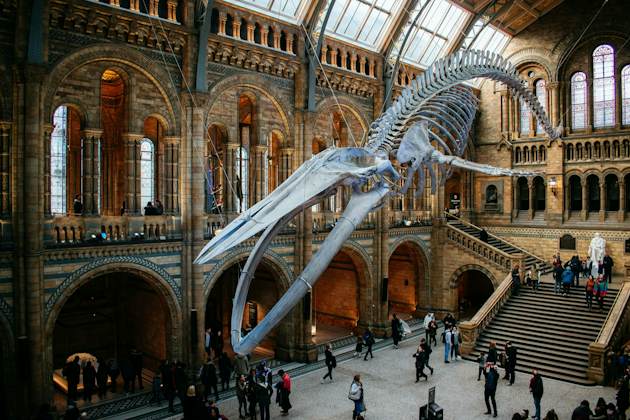 Natural History Museum London: Reserved Entry + Guided Tour + Audio Guide