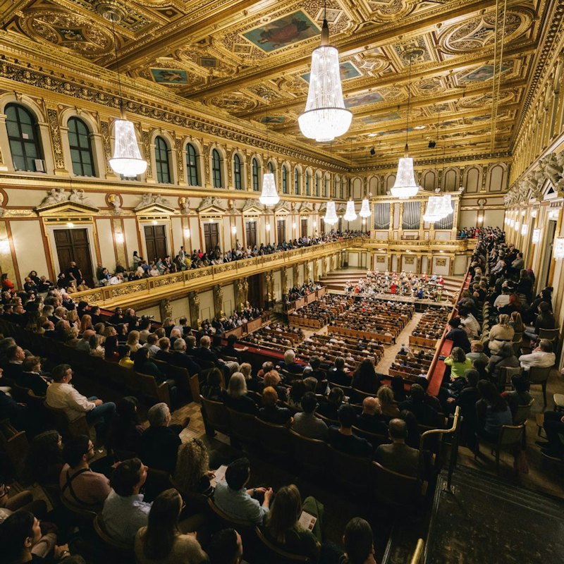 Musikverein Vienna: Mozart Orchestra