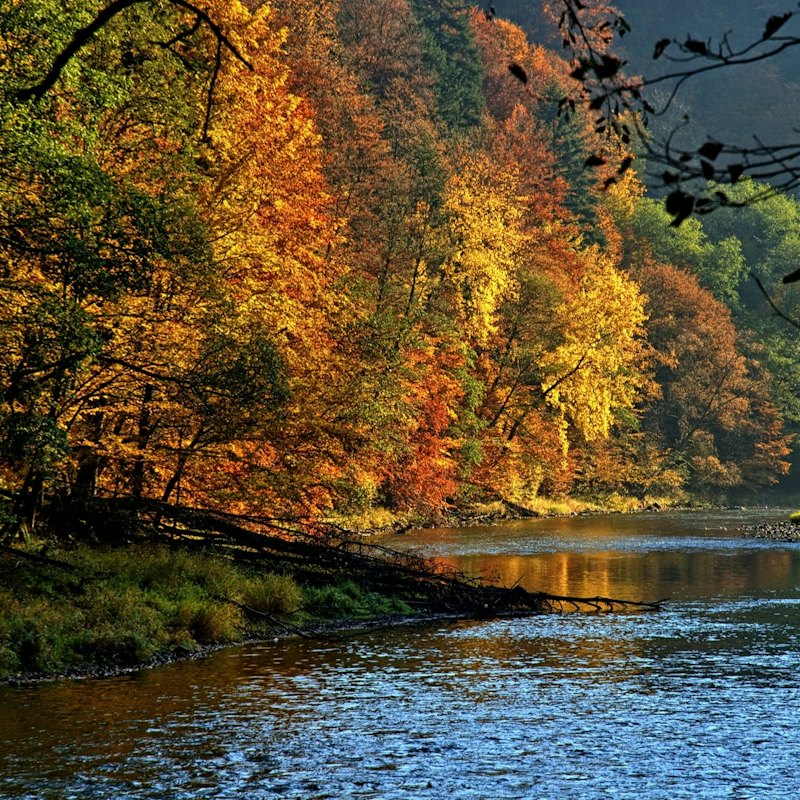 Krakow: Dunajec River Rafting Tour, Roundtrip Transfer + Lunch