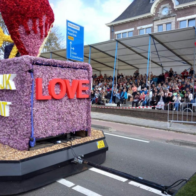 Amsterdam: Tulip Farm Entry + Flower Parade + Transport