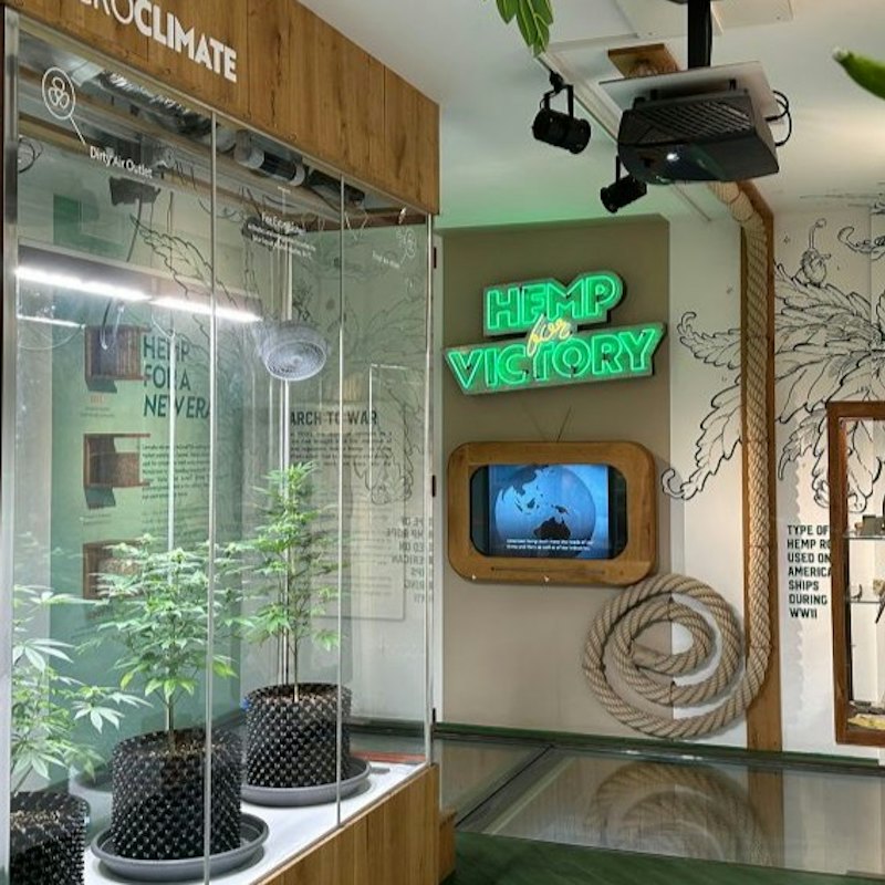 Cannabis Museum Amsterdam: Entry Ticket + Audio Guide