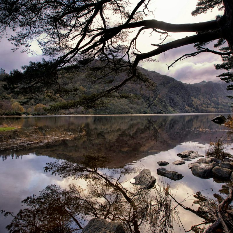 Kilkenny, Wicklow Mountains & Glendalough: Day Tour from Dublin
