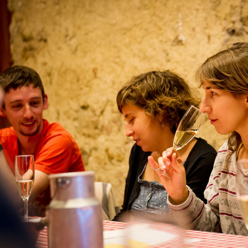 Barcelona: Guided Wine and Cava Experience