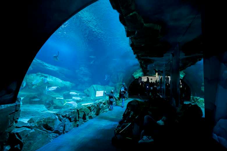 Aquarium de Paris: Entry Ticket