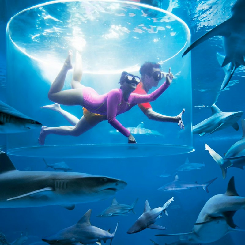Adventure Cove Waterpark™: Entry Ticket
