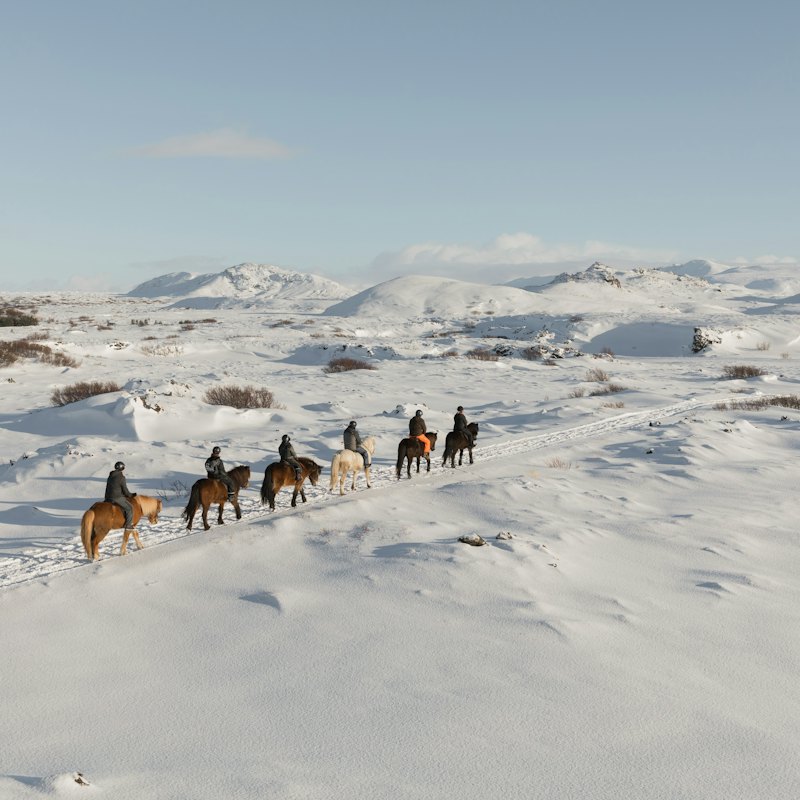 Horseback Riding with Icelandic Horses through the Lava Fields of Hafnarfjörður
