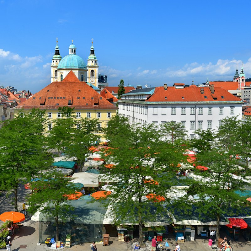 Ljubljana City Center & Ljubljana Castle: Guided Tour
