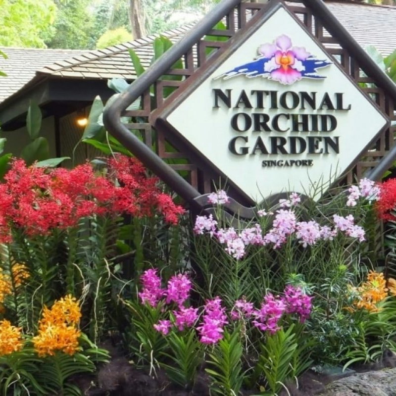 National Orchid Garden Singapore: Admission Ticket for Foreigners
