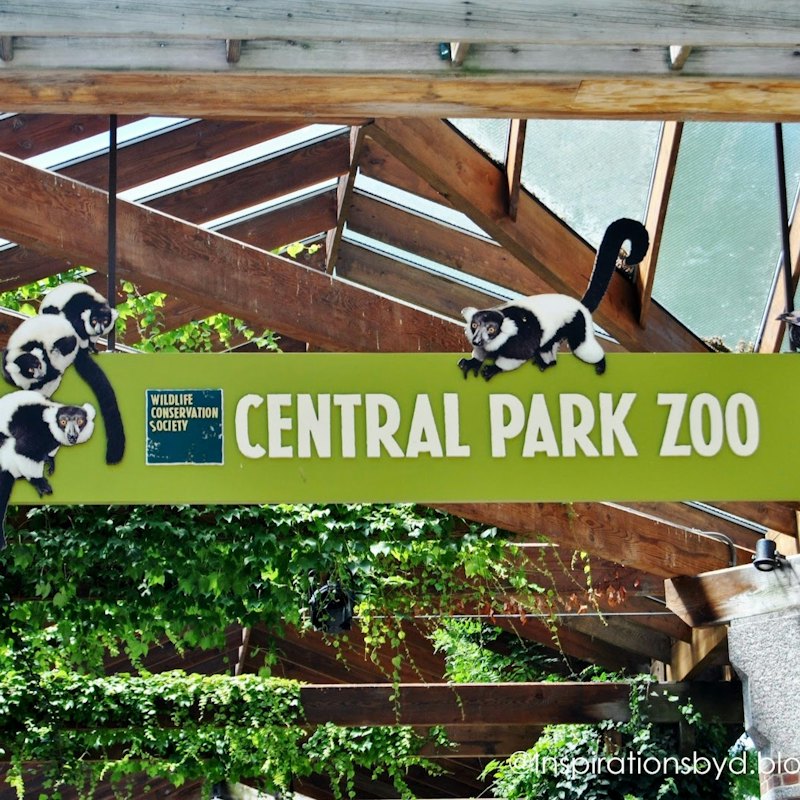 New York: 30+ Top Sights Walking Tour + Central Park Zoo Entry