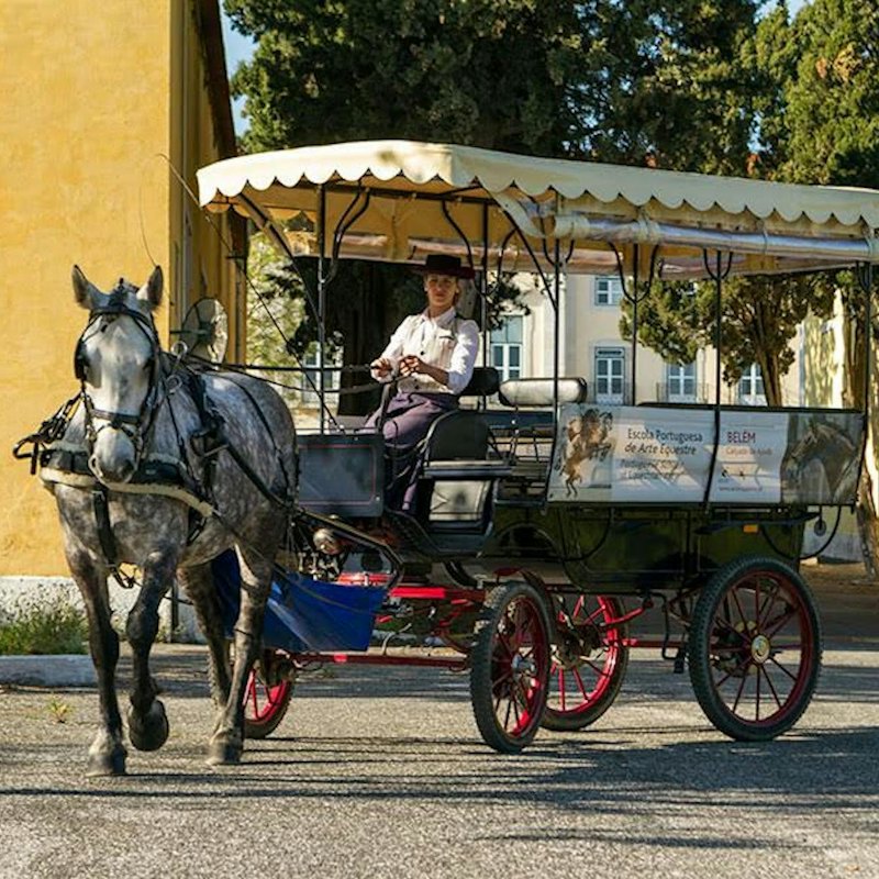 Lisbon: Horse-Drawn Carriage Ride in Belém
